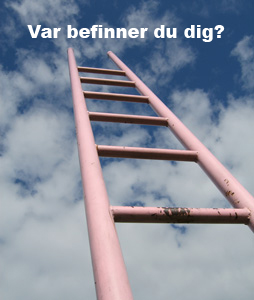 Stegen leder vart?